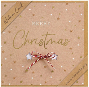 CARTE VOEUX NOEL BSB NATURE CARD