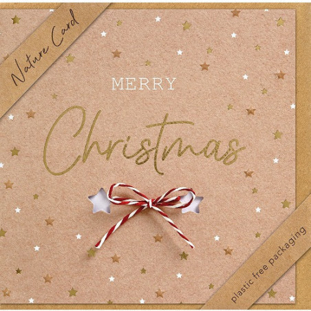 CARTE VOEUX NOEL BSB NATURE CARD
