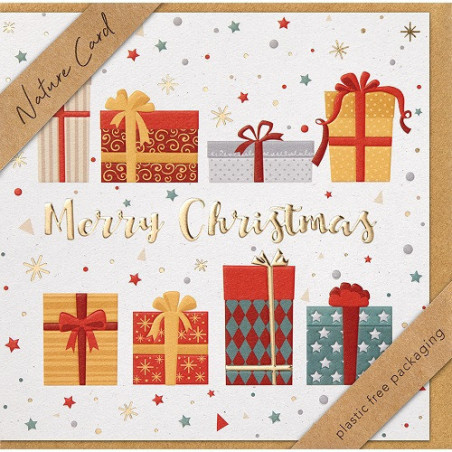 CARTE VOEUX NOEL BSB NATURE CARD