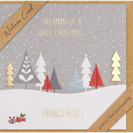 CARTE VOEUX NOEL BSB NATURE CARD