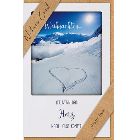 CARTE VOEUX NOEL BSB NATURE CARD