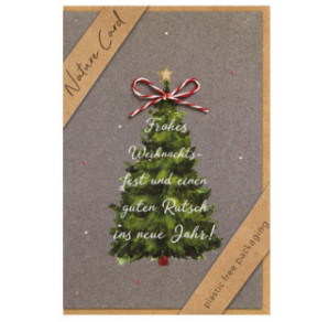 CARTE VOEUX NOEL BSB NATURE CARD