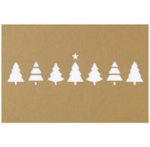 CARTE VOEUX NOEL BSB