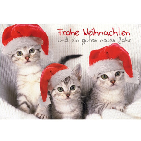 CARTE VOEUX NOEL BSB