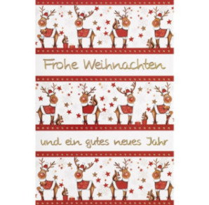 CARTE VOEUX NOEL BSB