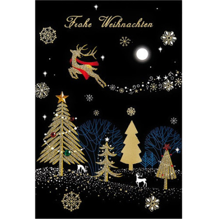 CARTE VOEUX NOEL BSB