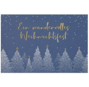 CARTE VOEUX NOEL BSB NATURE CARD
