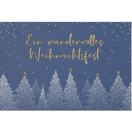 CARTE VOEUX NOEL BSB NATURE CARD