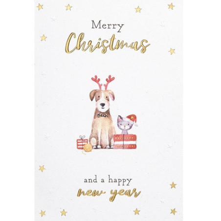 CARTE VOEUX NOEL BSB NATURE CARD