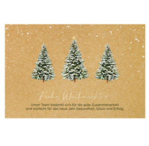 CARTE VOEUX NOEL BSB