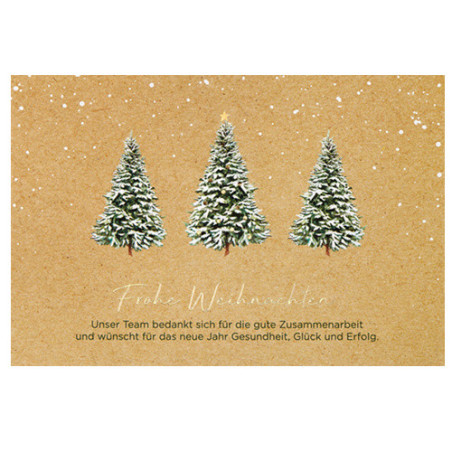 CARTE VOEUX NOEL BSB
