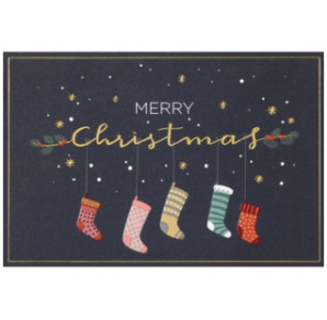 CARTE VOEUX NOEL BSB NATURE CARD