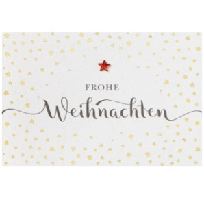 CARTE VOEUX NOEL BSB NATURE CARD