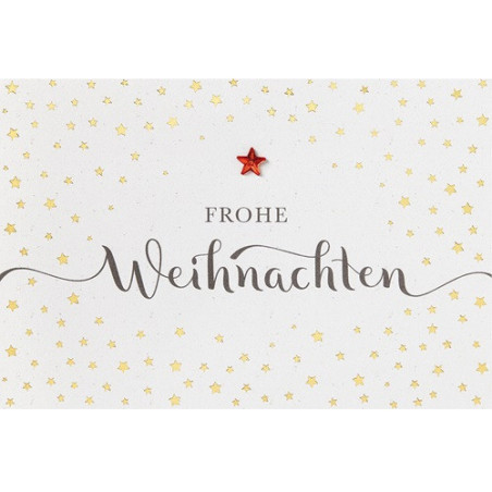 CARTE VOEUX NOEL BSB NATURE CARD