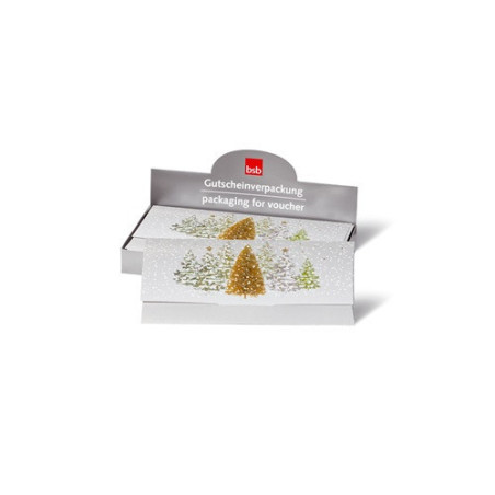 ENVELOPPE CADEAU NOEL BSB