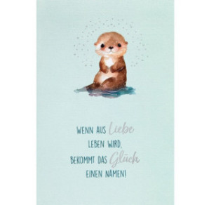 CARTE VOEUX BSB NATURE CARD NAISSANCE