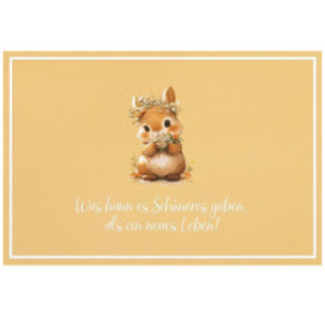 CARTE VOEUX BSB NATURE CARD NAISSANCE
