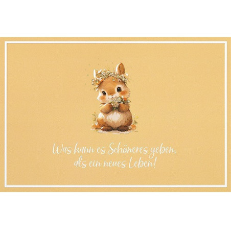 CARTE VOEUX BSB NATURE CARD NAISSANCE