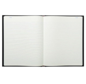 REGISTRE ET PIQURE EXACOMPTA 36X22,5CM LIGNE 200 PAGES