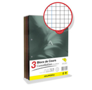 BLOC DE COURS AURORA A4 +M 2T 100FLS 3PCS