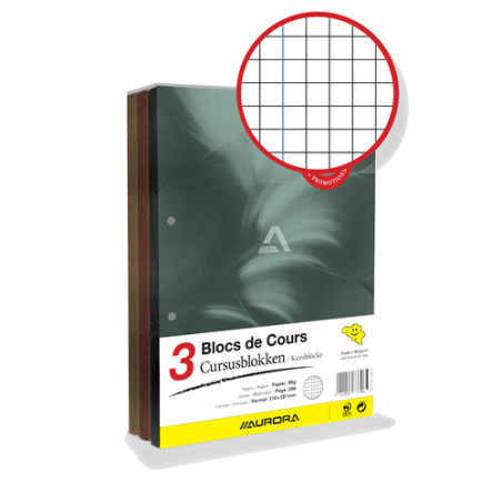 BLOC DE COURS AURORA A4 +M 2T 100FLS 3PCS