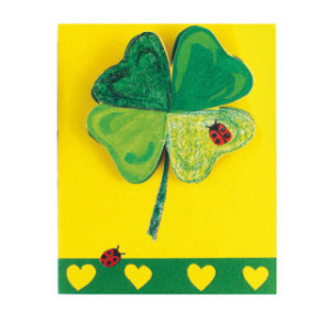 CARTE VOEUX BSB MINI SANS TEXTE