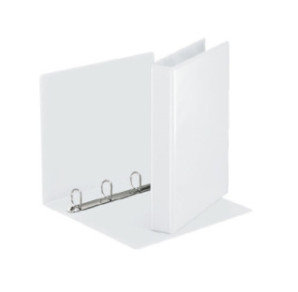 CLASSEUR ESSELTE PP PERS. 4AN. 50MM BLANC
