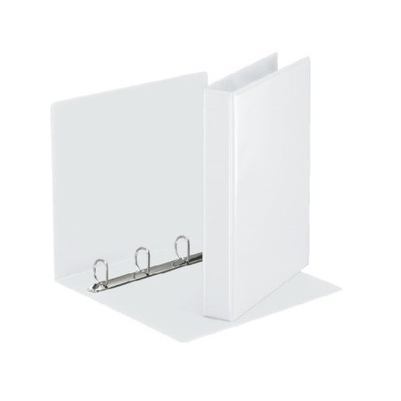 CLASSEUR ESSELTE PP PERS. 4AN. 50MM BLANC