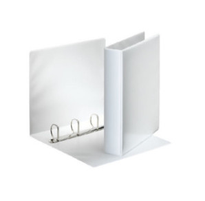 CLASSEUR ESSELTE PP PERS. 4AN. 60MM BLANC