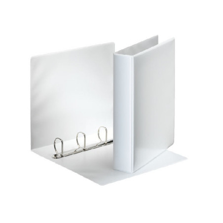 CLASSEUR ESSELTE PP PERS. 4AN. 60MM BLANC