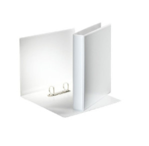 CLASSEUR ESSELTE PP PERS. 2AN. 45MM BLANC