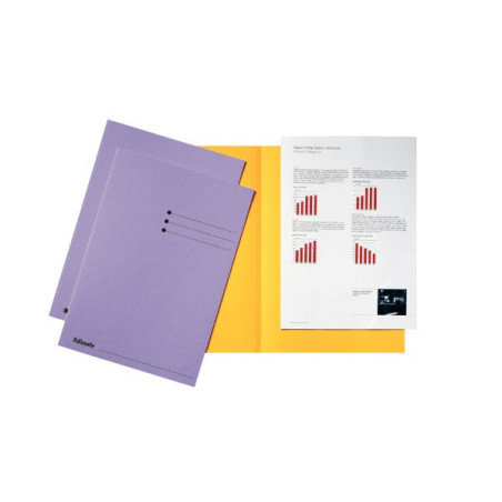 CHEMISE CART. A4 180G ESSELTE LILAS B