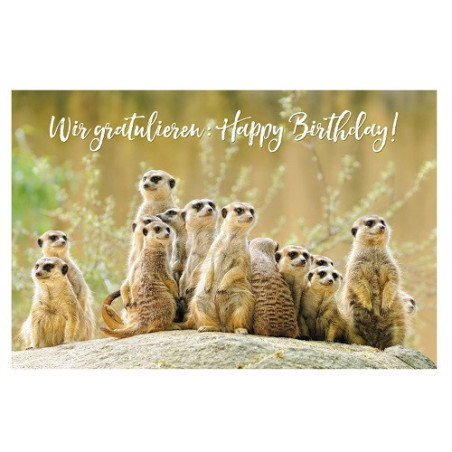 CARTE VOEUX BSB HAPPY BIRTHDAY