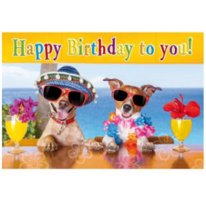 CARTE VOEUX BSB HAPPY BIRTHDAY