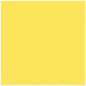 PAPIER DESSIN A4 300G JAUNE CITRON PAQ. 50FLS