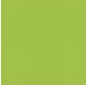 PAPIER DESSIN A4 300G VERT PRINTEMPS PAQ. 50FLS