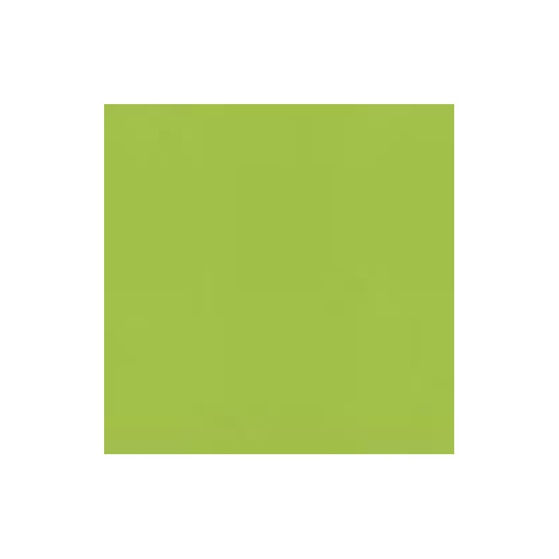 PAPIER DESSIN A4 300G VERT PRINTEMPS PAQ. 50FLS