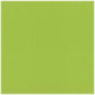 PAPIER DESSIN A4 300G VERT PRINTEMPS PAQ. 50FLS