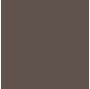 PAPIER DESSIN A4 300G BRUN FONCÉ PAQ. 50FLS