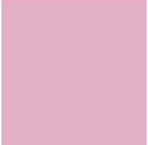PAPIER DESSIN A3 130G ROSE PAQ. 50FLS