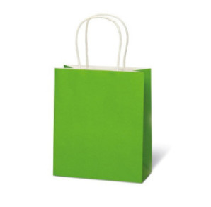 SACHET BSB 21X18X8CM KRAFT VERT
