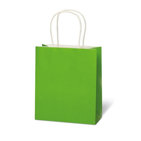 SACHET BSB 21X18X8CM KRAFT VERT