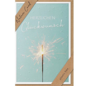 CARTE VOEUX BSB NATURE CARD HAPPY BIRTHDAY