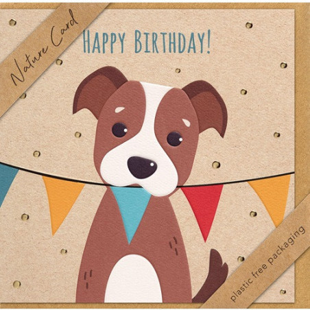 CARTE VOEUX BSB NATURE CARD HAPPY BIRTHDAY