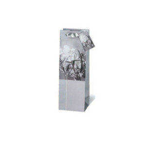 SACHET BSB BOUT. 36X12,5X10CM CHAMPAGNE