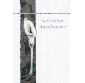 CARTE VOEUX BSB CONDOLEANCES