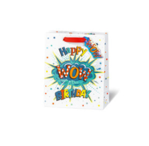 SACHET BSB 23X19X9CM WOW HAPPY BIRTHDAY
