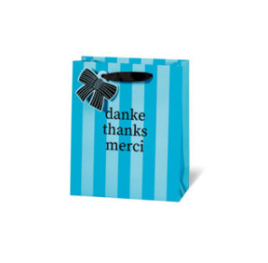 SACHET BSB 23X19X9CM THANKS