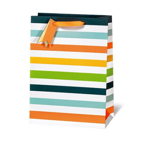 SACHET BSB 36X26X14CM NEON STRIPES