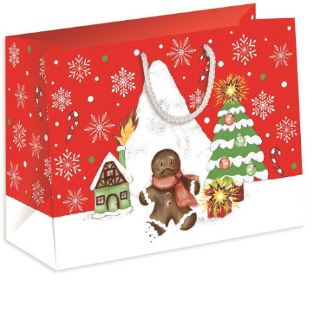 SACHET NOEL ZOEWIE 46X61X18CM GRUMPY